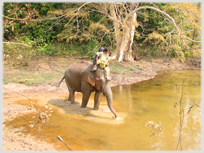 Two boys on an elephant at a pool of water.