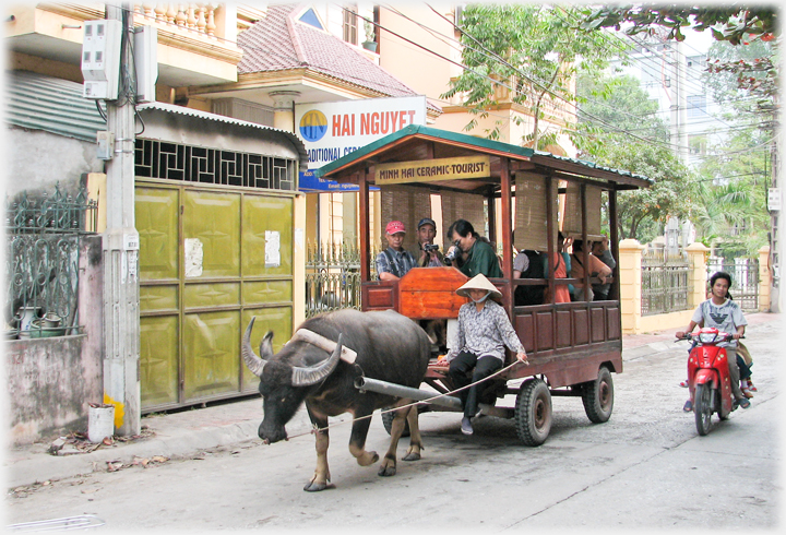 Cart for 10 people being pulled by a buffalo.