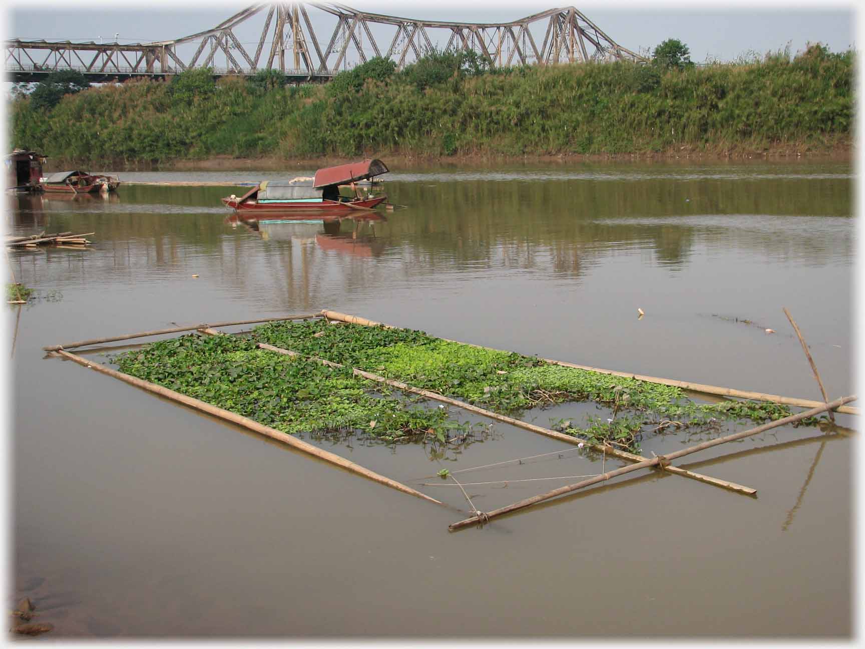 On foreground of river, with bridge beyond, a bamboo rectangle with plants growing in it.