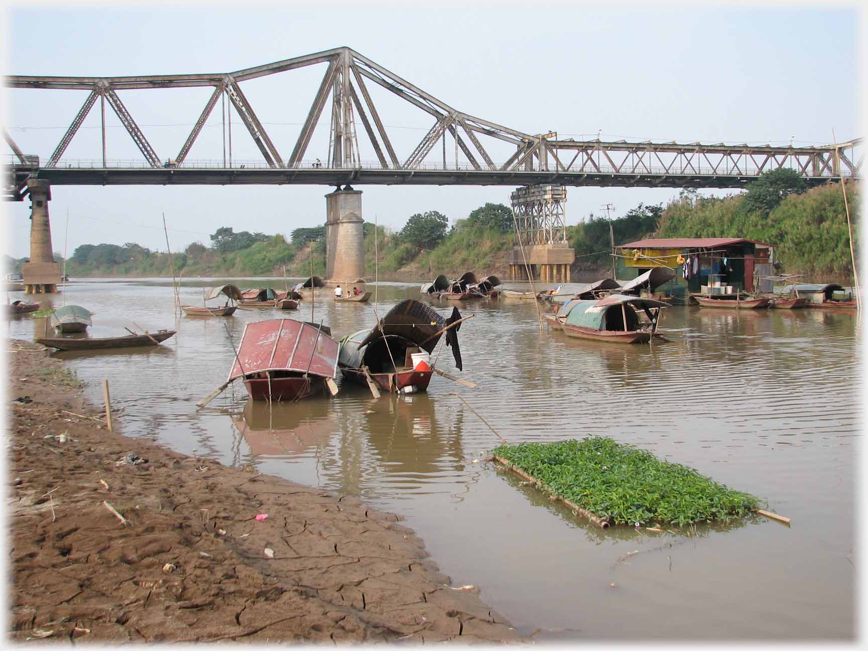 A small rectangle of plants near houseboats under bridge.