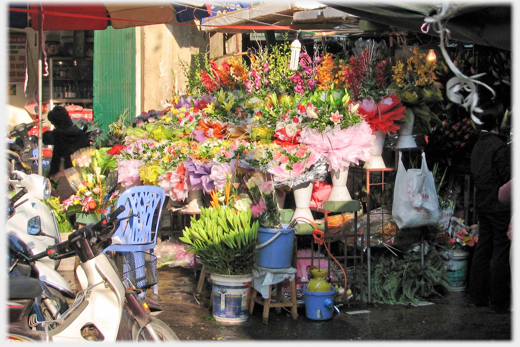 Packed banks of flowers.