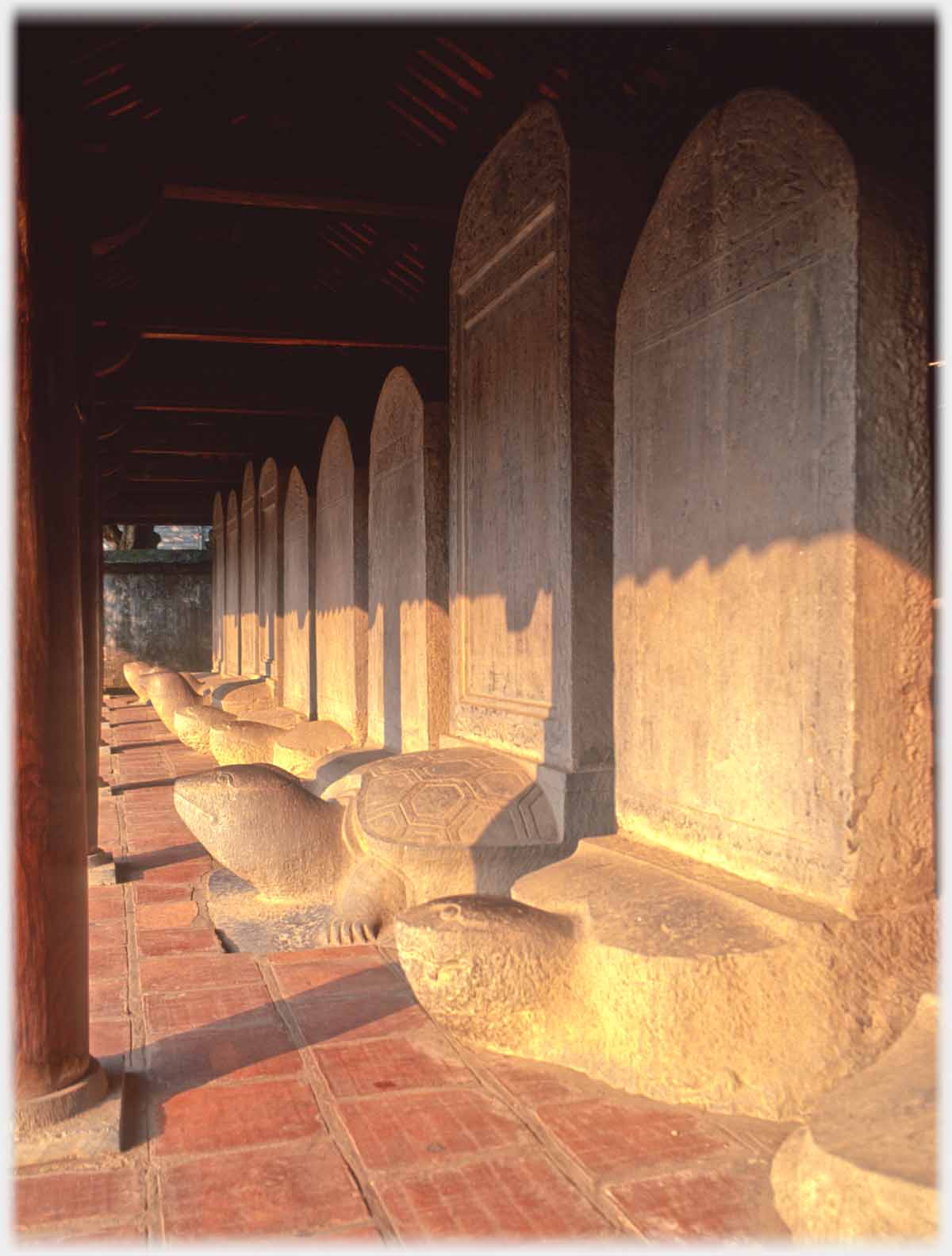 Row of stelea on turtles in evening light.