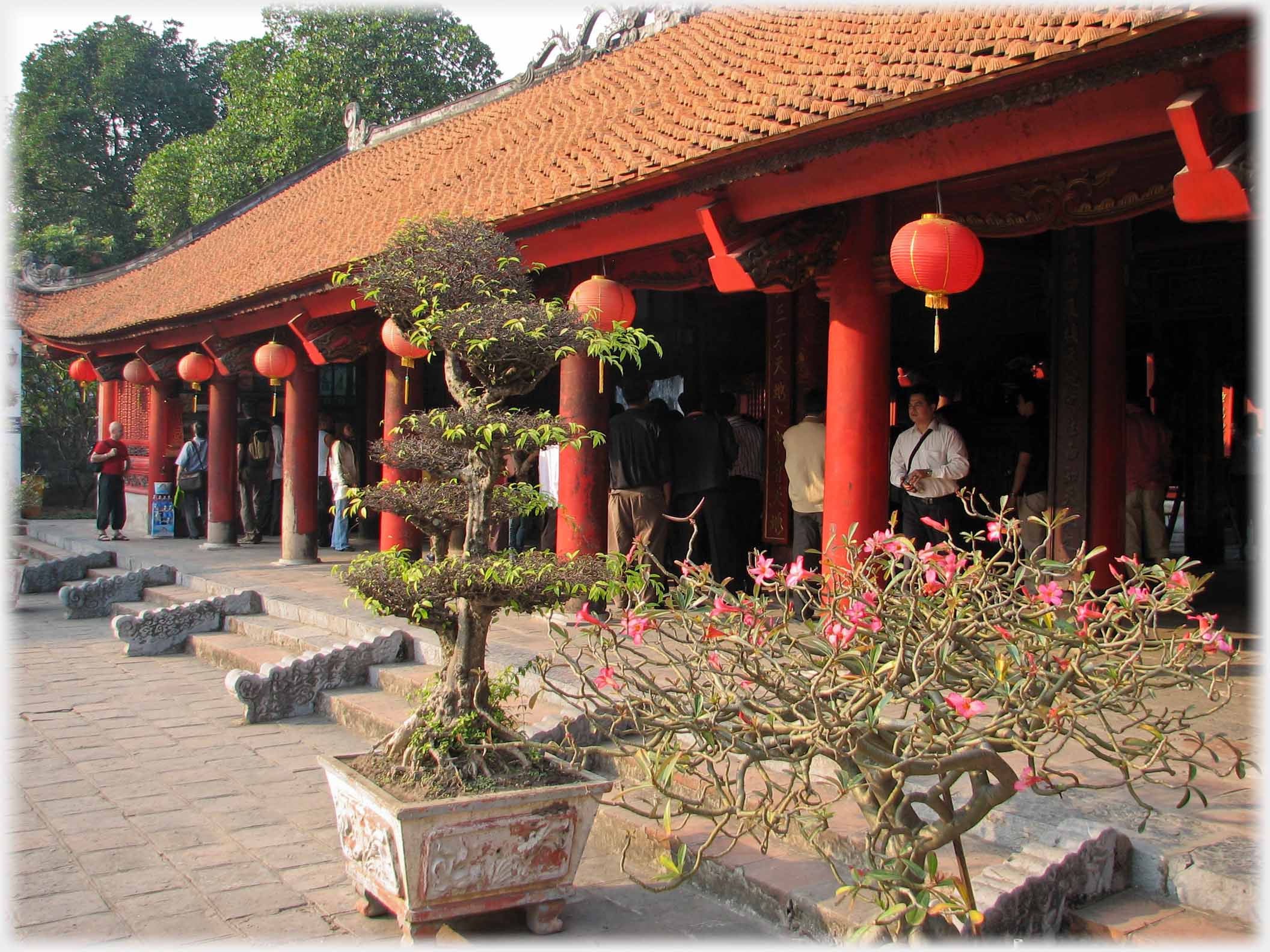 Bonsai in front of pavilion with red pillars.