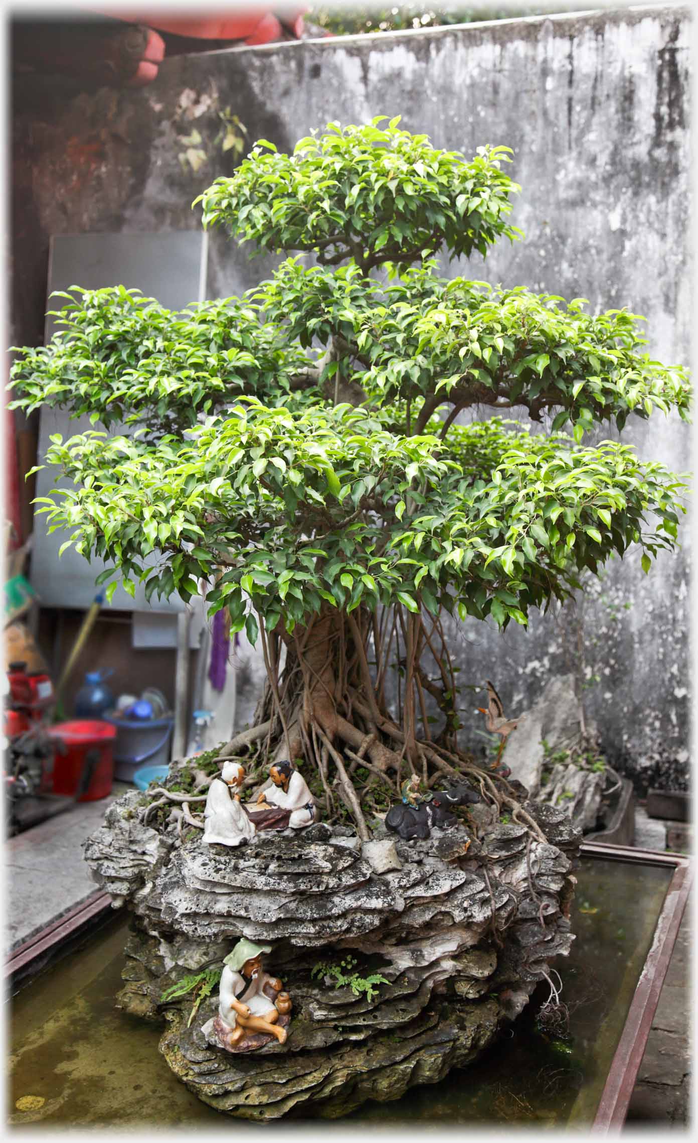 Bonsai with miniature figures by base of tree and below rock.