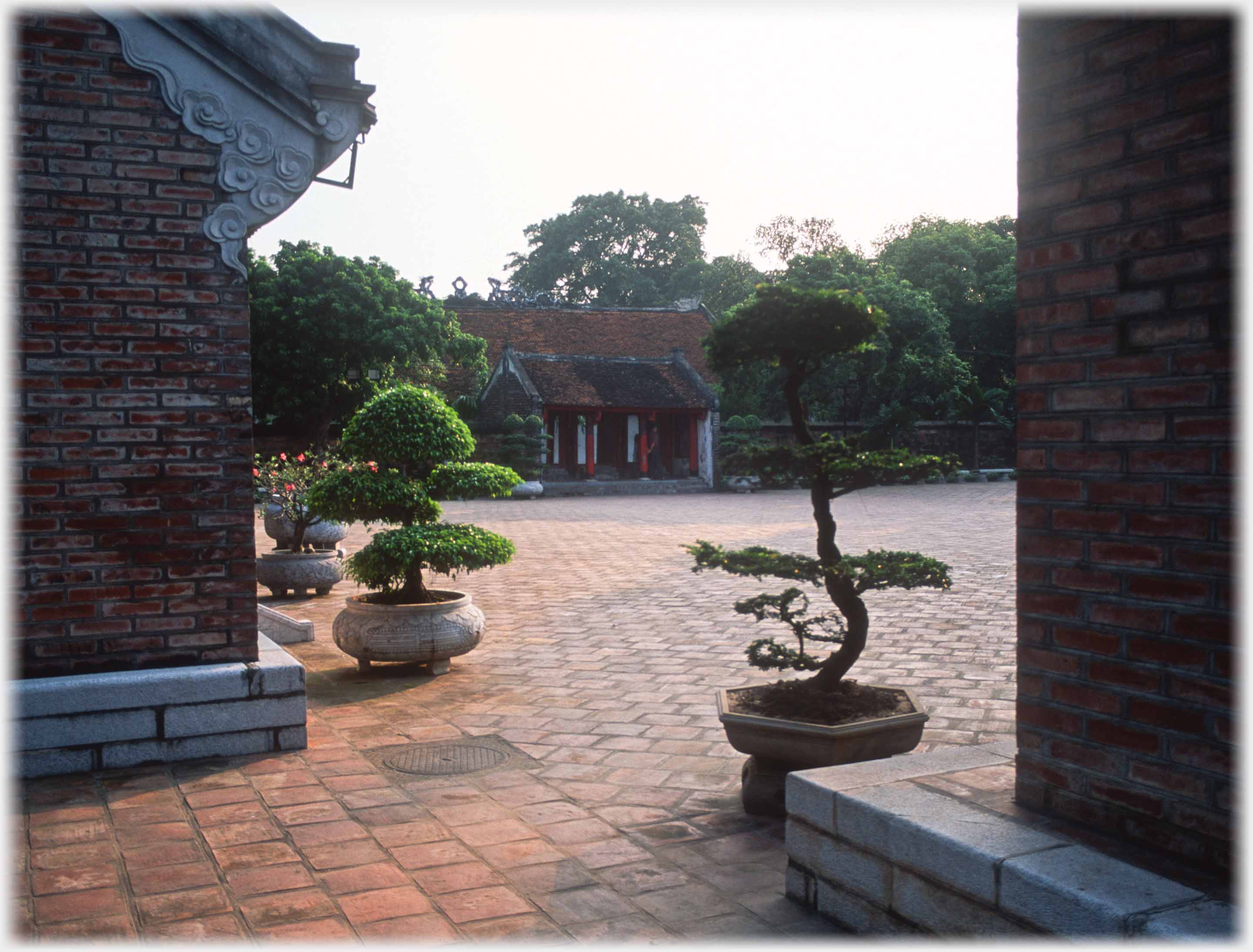 Looking between two buildings and two bonsai into the courtyard.