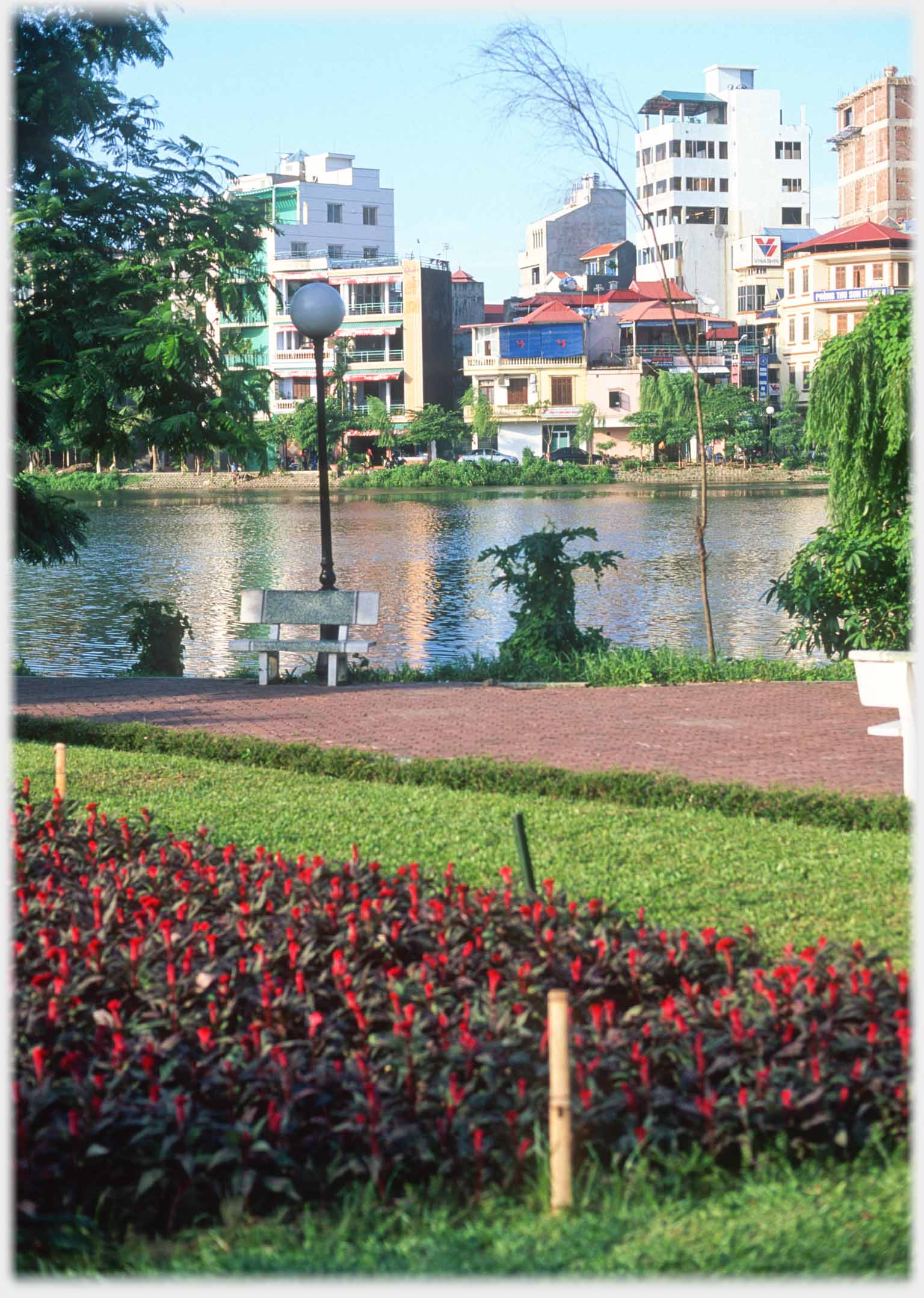 Neat bed of red flowers and cut grass with empty seat and lake beyond.