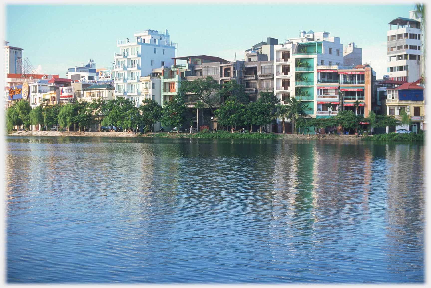 Blocks of flats and trees.