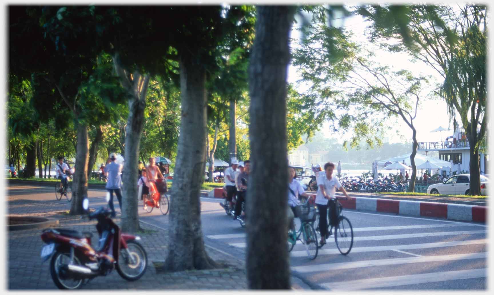 Bicycles on raoadway through trees.