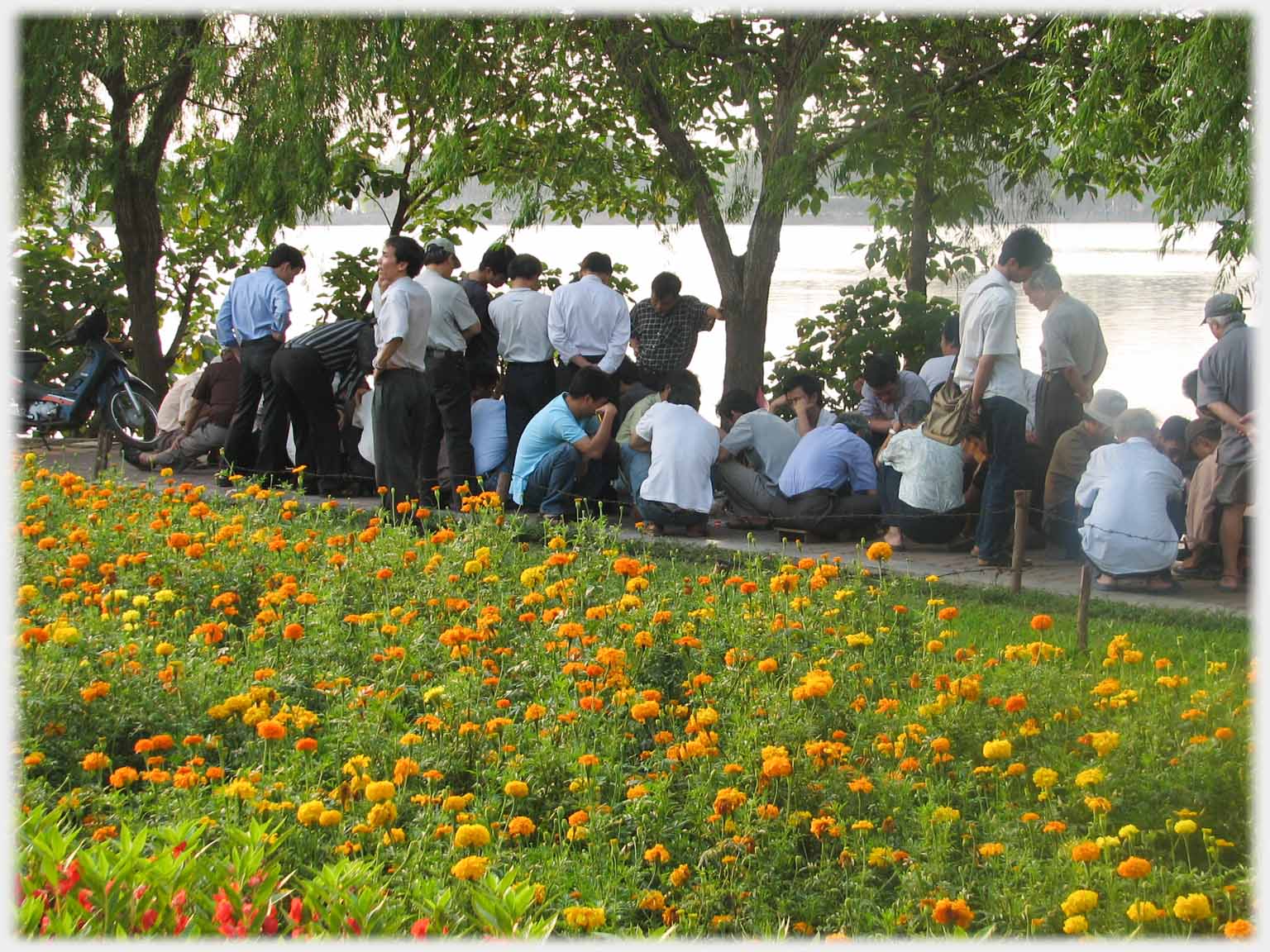 Yellow flowers in foreground couple dozen men sitting and watching in groups by lake.