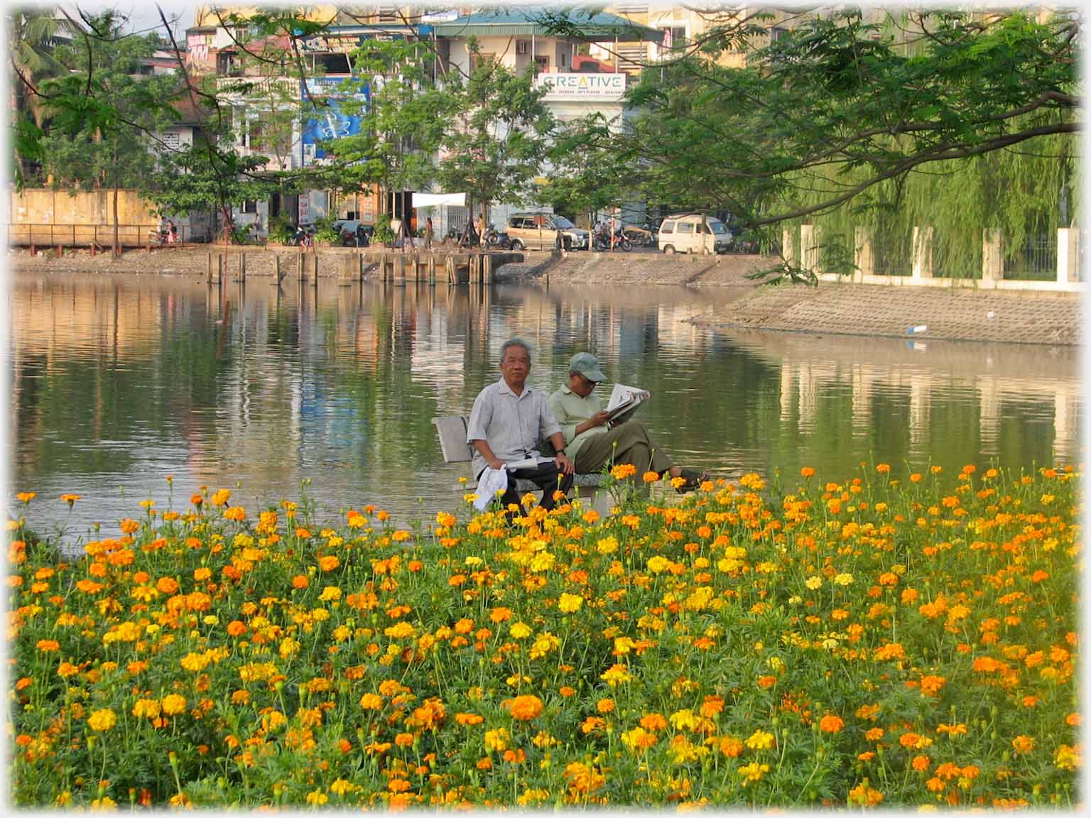 Foreground of yellow flowers two men on seat laake behind.