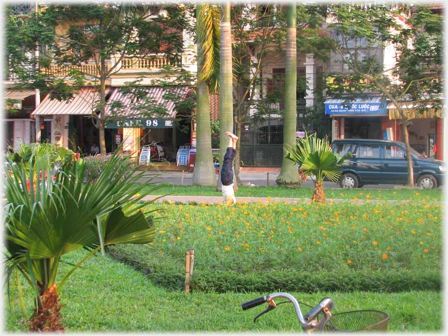 Trunk and legs of man doing handstand beyond planted area.