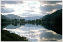 Silhouetted trees by loch with clouds.