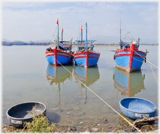 Three boats moored with two coracles at bank.