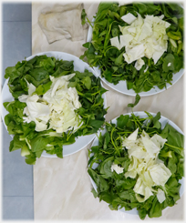 Vegetables for steaming.