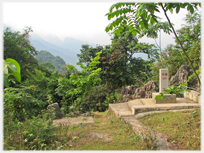 Boundary marker in the jungle.