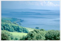 Islands in the sea near Gatehouse of Fleet.