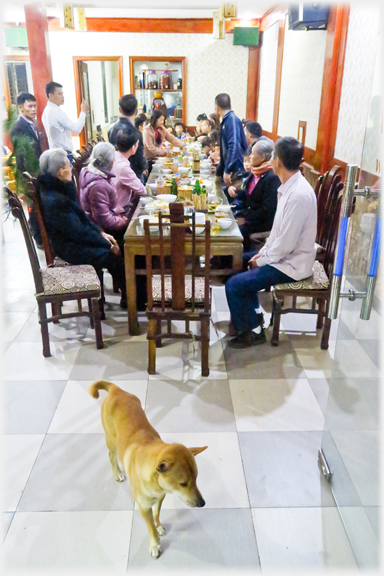 A family meal at a long table with a dog wandering in the foreground.