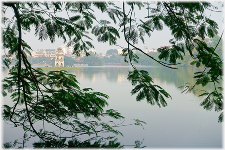 Tree by Lake.