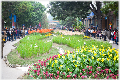 Street turned to flower beds.