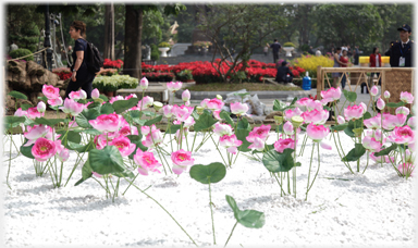 Flower display