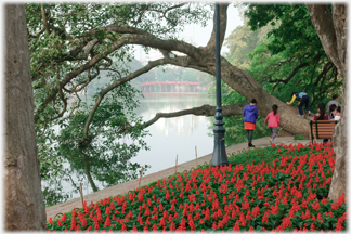 Red flowers and red bridge