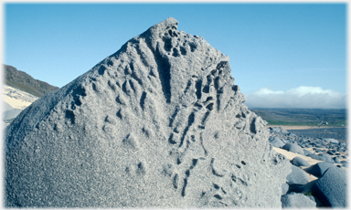 A stone with deep sculptural markings.