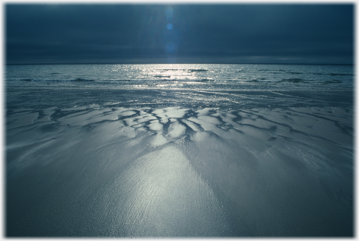 Mud at the sea shore in the blue of night sun.