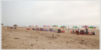 People under sunshades on a beach.