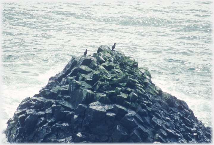 Stack with cormorants.