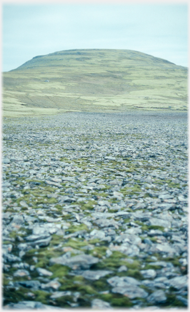 Plane of rock and moss running towards a hill.