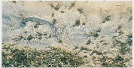 Rippling clear water over sand bed.