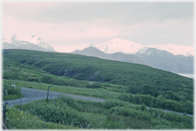 Green land with track.