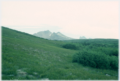 Sharp hills as background to vegetation.