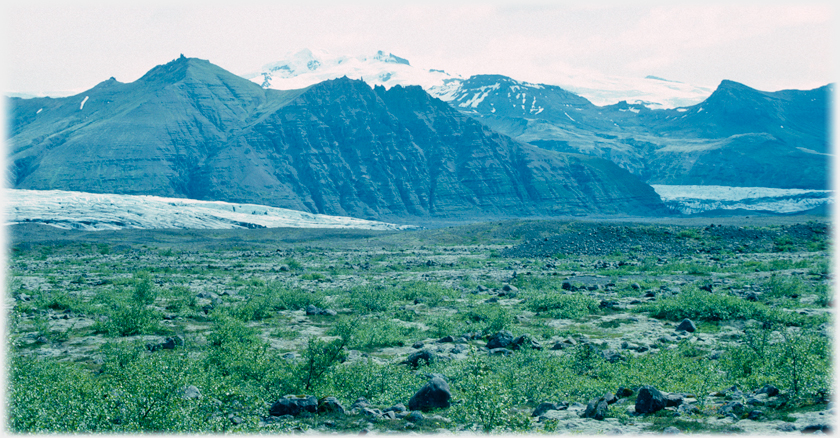 Scrub, glacier, mountains.