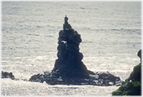 Stack with gull atop.