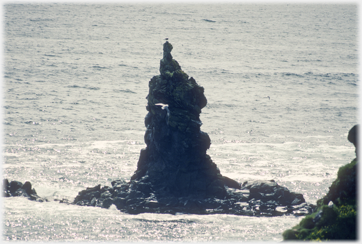 Stack with gull on top.