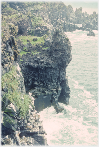 Gulls on cliffs.