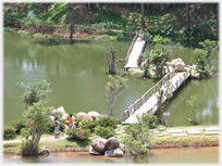 Bridges in the Golden Valley Park.