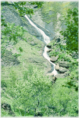 Stream on rock surface.