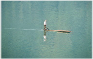 Man sculling.