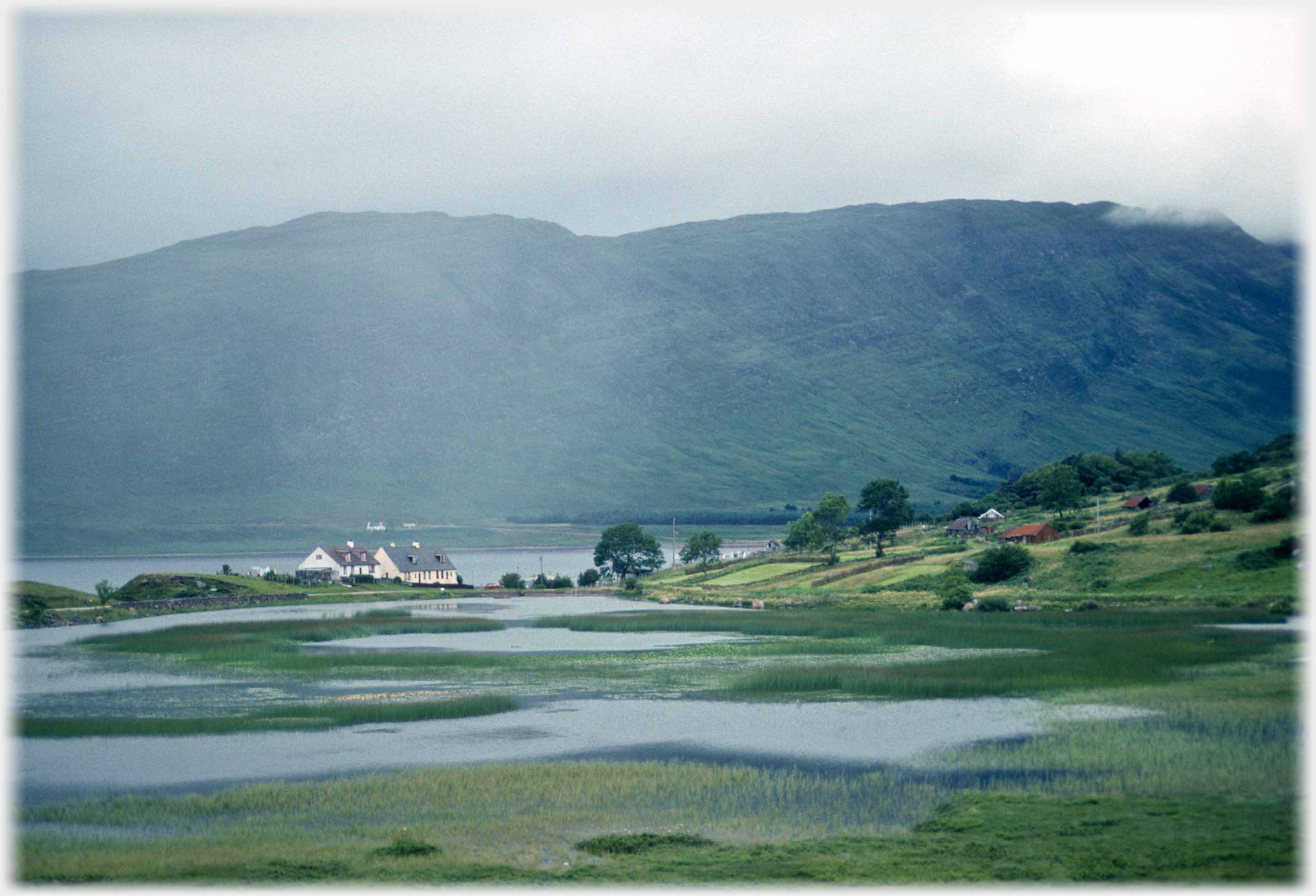 Lochan with reeds, house on far side, sea beyond the house and hills beyond the sea.