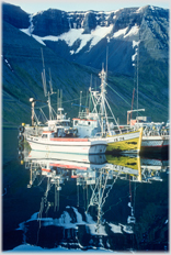 Fishing boats tied up against black water and black hills with snow beyond.