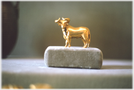 Golden bull.