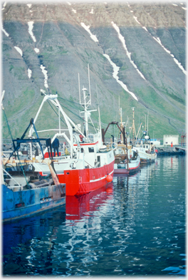 Red fishing boat among others.