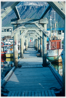 Marina walkway with skeletal arches.