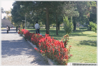 Chehel Sotoun gardens.