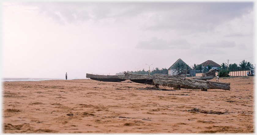 Boats with palm mats over them.