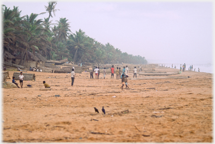 Sand by palms with many families and children.