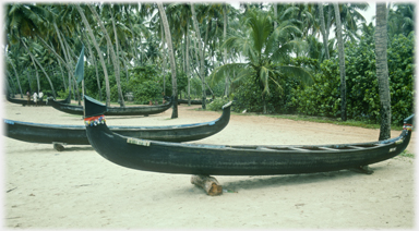 Line of ceremonial boats.