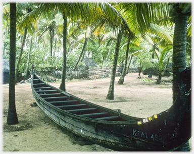 Boat with many seats amongst palm trees.